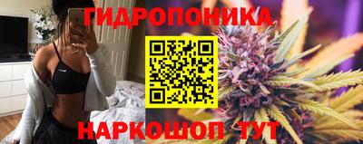 тгк Лесосибирск